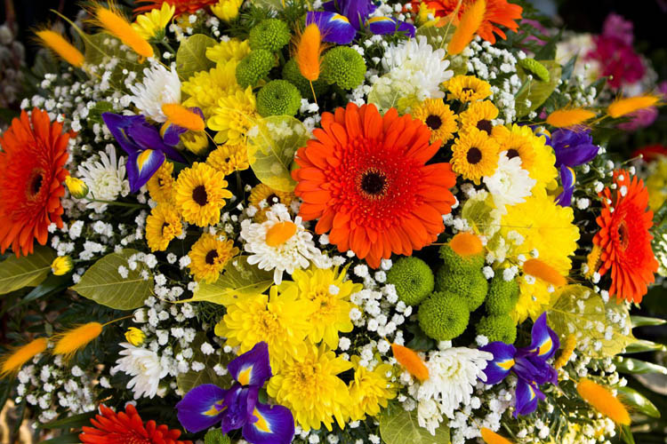 Bouquet Lubersac