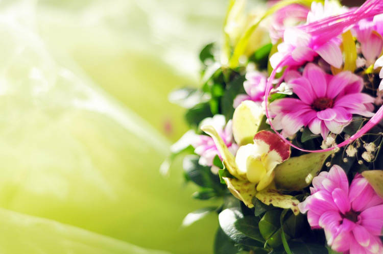 Composition florale Lubersac